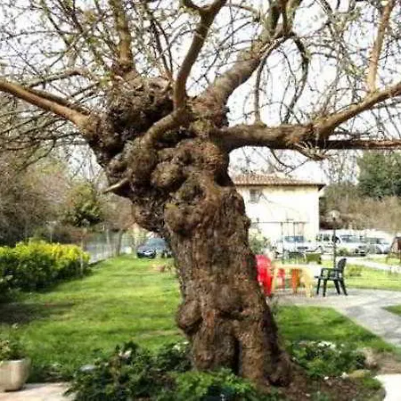 Le Torri Panzió